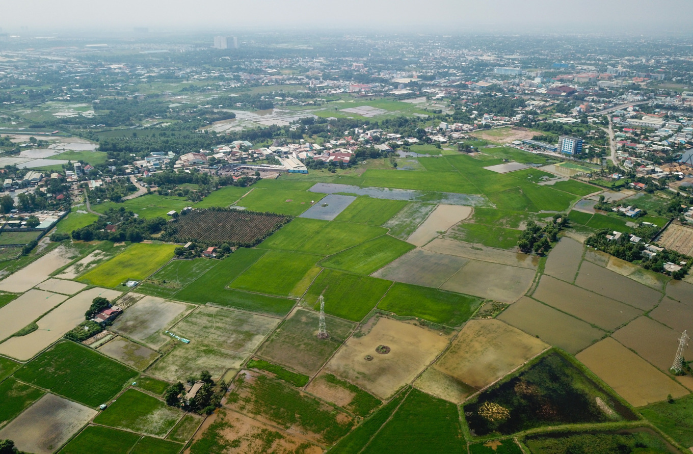Công ty Cây trồng thành phố có diện tích thanh tra lớn nhất với 2,7 triệu m2 tại huyện Bình Chánh