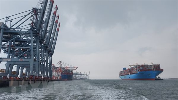 Tàu chở container vào cảng quốc tế Cái Mép hồi năm 2020.