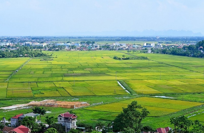 Sở hữu đất đai là gì? Quyền sở hữu đất đai đề cập những vấn đề gì?