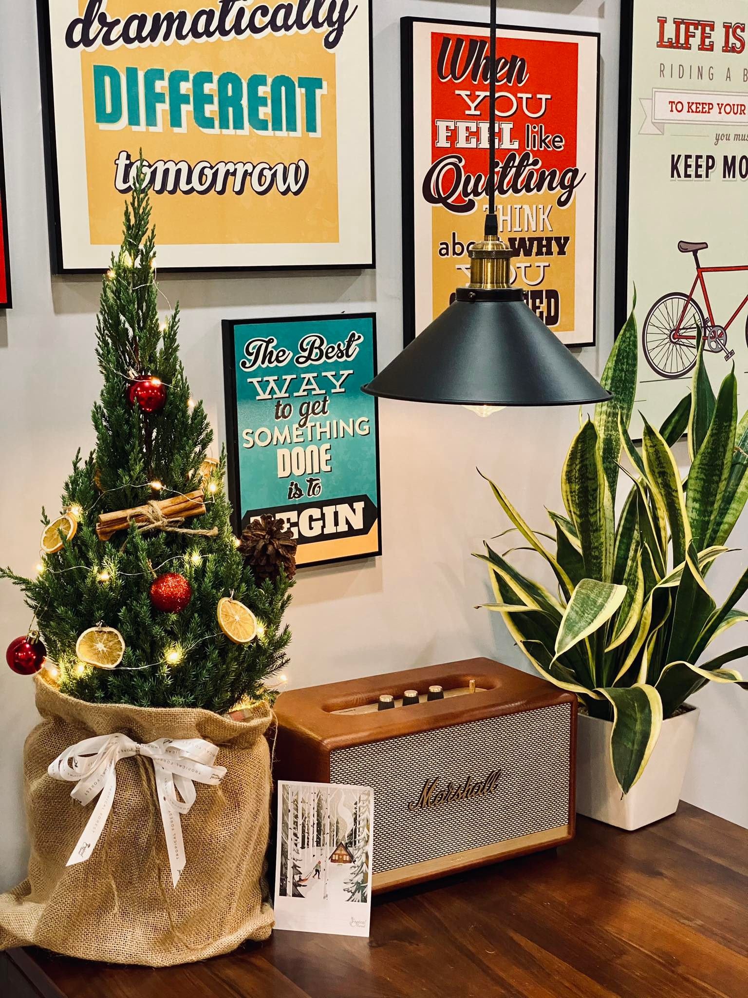 Đặt cây thông Noel thế nào cho phù hợp phong thủy? Đặt cây thông Noel thế nào cho phù hợp phong thủy?