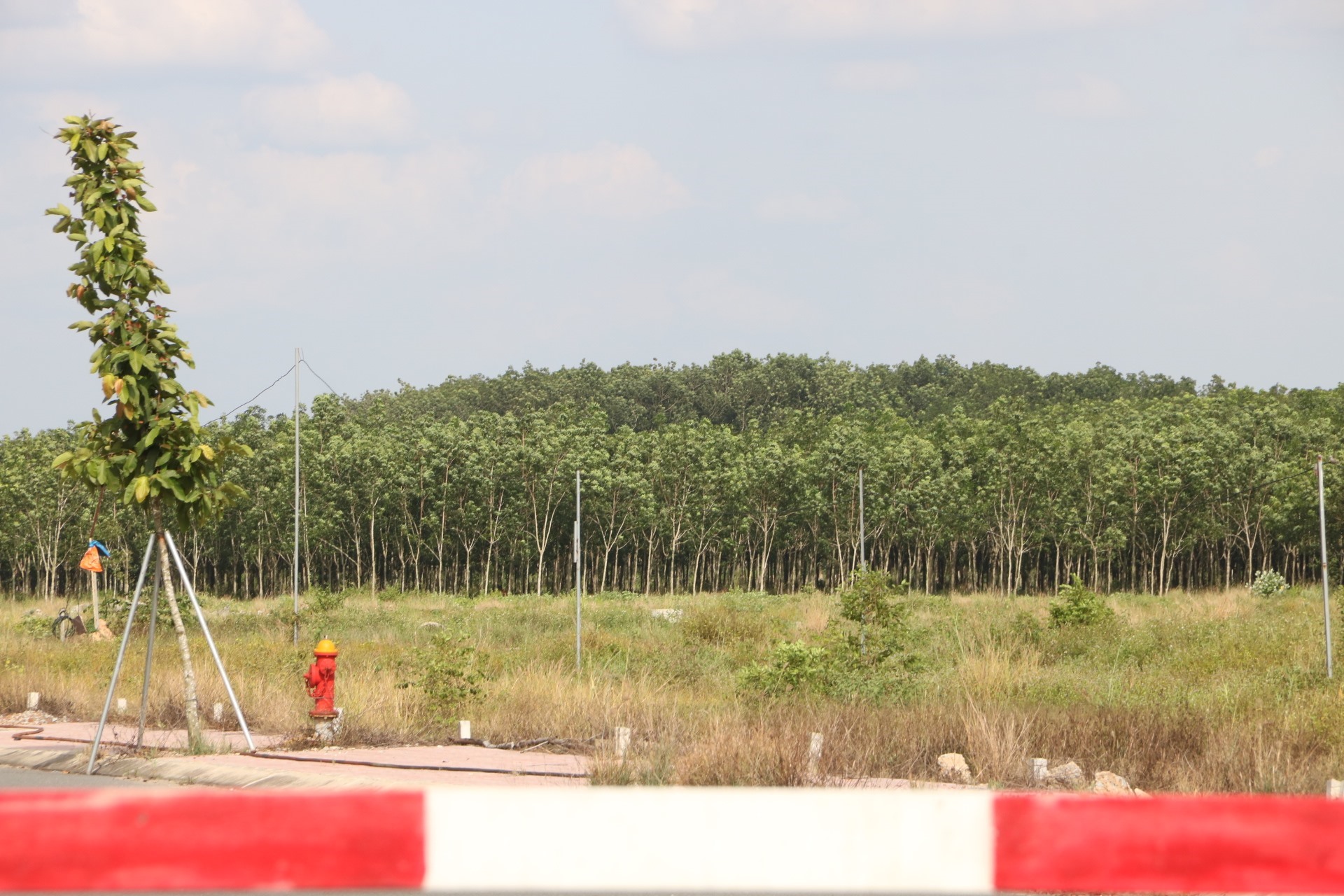 Bình Dương: Tách thửa đất nông nghiệp sang phi nông nghiệp 500 m2 cho thị trấn, 1.000 m2 cho xã Bình Dương: Tách thửa đất nông nghiệp sang phi nông nghiệp 500 m2 cho thị trấn, 1.000 m2 cho xã