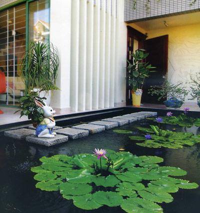 Trồng cây xanh hợp phong thuỷ cần lưu ý điều gì?