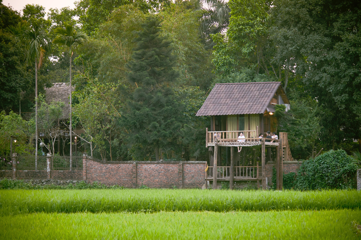 Nhà vườn 10.000 m2 dùng toàn nội thất tái chế Nhà vườn 10.000 m2 dùng toàn nội thất tái chế