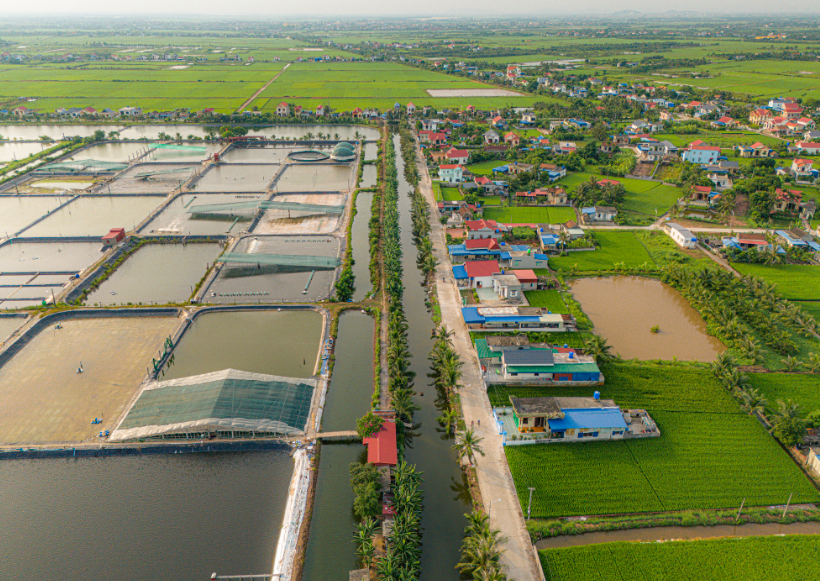 Hải Phòng triển khai hai khu công nghiệp quy mô lớn, tổng vốn đầu tư hơn 6.700 tỷ đồng