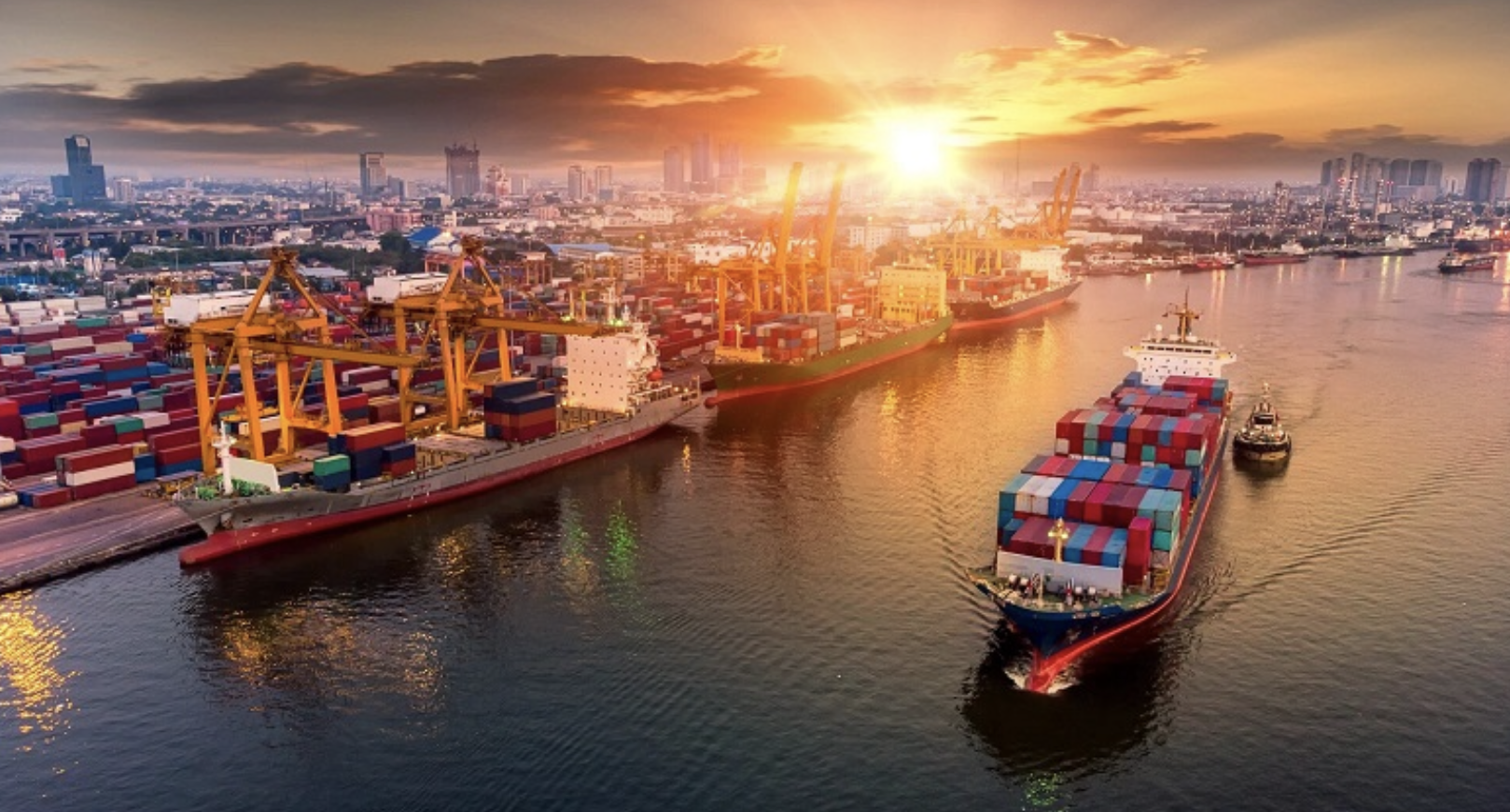 Việt Nam – Ấn Độ hướng tới mốc 20 tỷ USD thương mại song phương, mở rộng hợp tác chiến lược toàn diện Việt Nam – Ấn Độ hướng tới mốc 20 tỷ USD thương mại song phương, mở rộng hợp tác chiến lược toàn diện