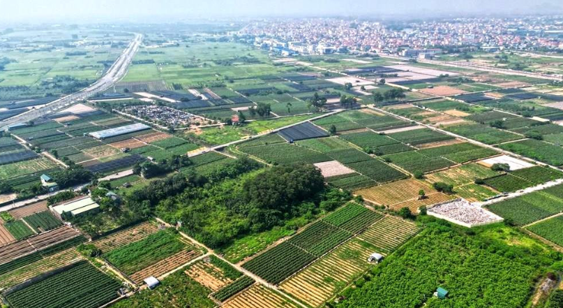 Hưng Yên đấu giá 57 thửa đất tại khu dân cư Xuân Đình, giá khởi điểm từng thửa lên tới 3,6 tỷ đồng
