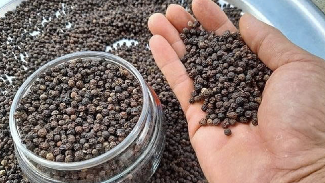 Giá tiêu hôm nay 17/9: Toàn quốc giữ mức ổn định, Đắk Nông đạt giá cao nhất