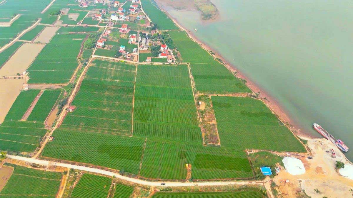 Bắc Ninh xác nhận TTBGROUP thu hồi hơn 6.500 m³ đất làm vật liệu san lấp cho dự án chung cư
