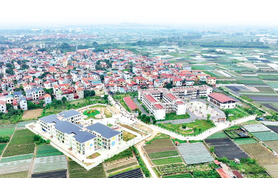 Cách nhận biết đất bị “thổi giá”: Những dấu hiệu cảnh báo nhà đầu tư cần biết để không sập bẫy
