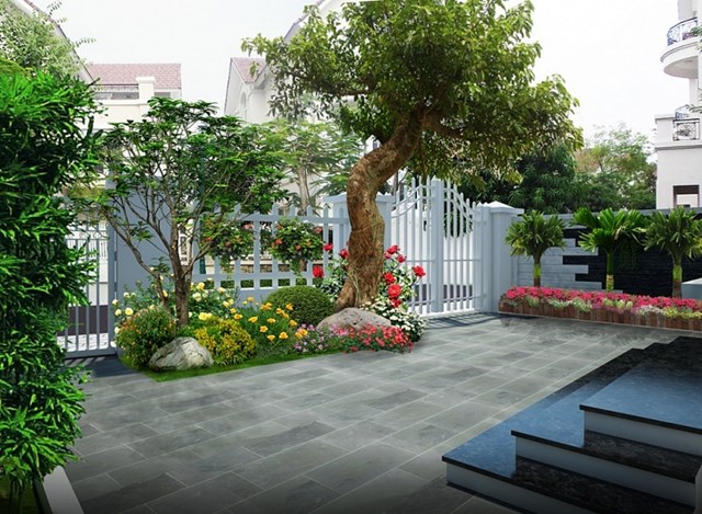10 loại cây phong thủy nên trồng trước nhà – Vừa đẹp cảnh quan, vừa hút tài lộc vào nhà 10 loại cây phong thủy nên trồng trước nhà – Vừa đẹp cảnh quan, vừa hút tài lộc vào nhà