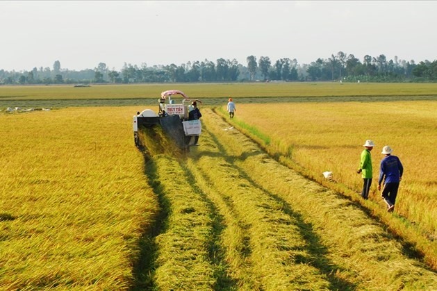 Đất nông nghiệp trong đô thị – Có thể chuyển sang đất ở không? Đất nông nghiệp trong đô thị – Có thể chuyển sang đất ở không?
