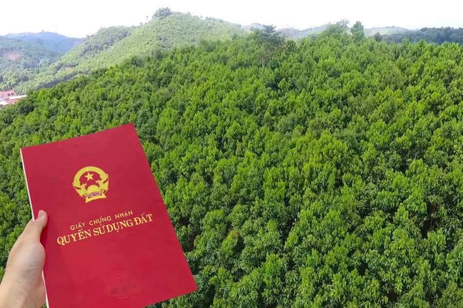 Đất trong khu bảo tồn – có được cấp sổ đỏ hay không?