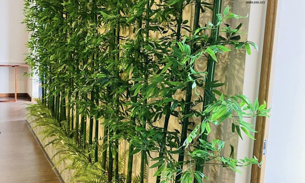 Trồng cau, trúc trước nhà có ý nghĩa gì và cần lưu ý gì để đón sinh khí đúng phong thủy Trồng cau, trúc trước nhà có ý nghĩa gì và cần lưu ý gì để đón sinh khí đúng phong thủy
