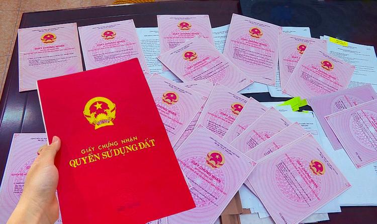 Cách xác minh chủ sử dụng đất khi sổ đỏ đứng tên “hộ gia đình” – tránh tranh chấp và đảm bảo giao dịch an toàn Cách xác minh chủ sử dụng đất khi sổ đỏ đứng tên “hộ gia đình” – tránh tranh chấp và đảm bảo giao dịch an toàn