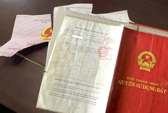 Giấy tờ đất bị mối mọt làm hỏng – xử lý ra sao và có xin cấp lại được không?