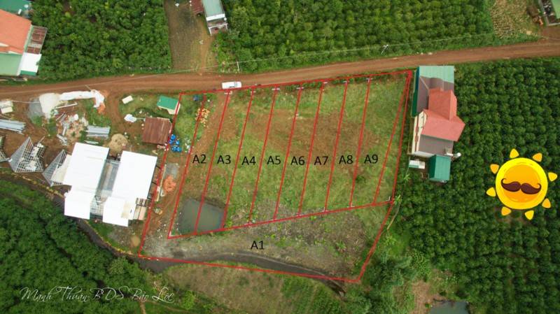 Cần bán lô đất View đồi thông gần khu dã ngoại Suối Lũng Chuối