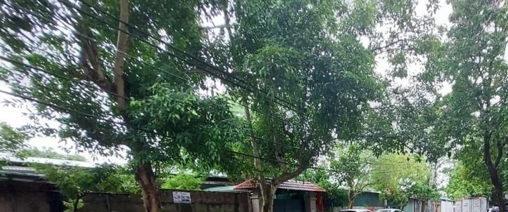 Bán nhanh căn nhà mặt phố phường Bồ Đề, Long Biên, Hà Nội