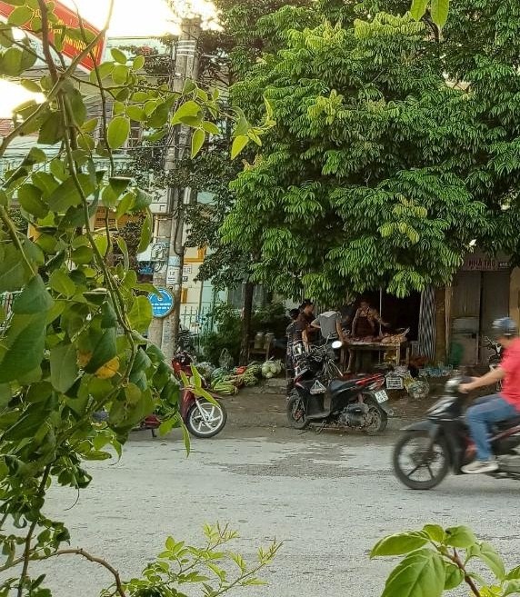 Chính chủ bán gấp căn nhà phố trung tâm thành phố Thanh Hóa