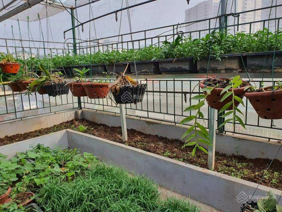 CẦN TIỀN NÊN BÁN GẤP NHÀ LIỀN KỀ 70M2 CHÍNH CHỦ TẠI KĐT VĂN QUÁN HÀ ĐÔNG