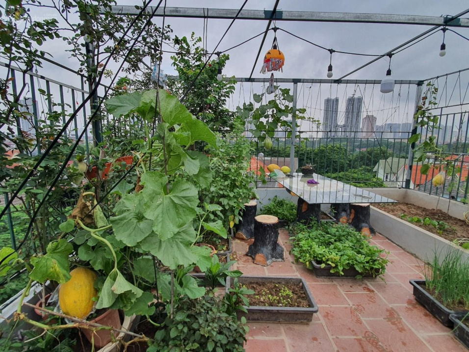 CẦN TIỀN NÊN BÁN GẤP NHÀ LIỀN KỀ 70M2 CHÍNH CHỦ TẠI KĐT VĂN QUÁN HÀ ĐÔNG