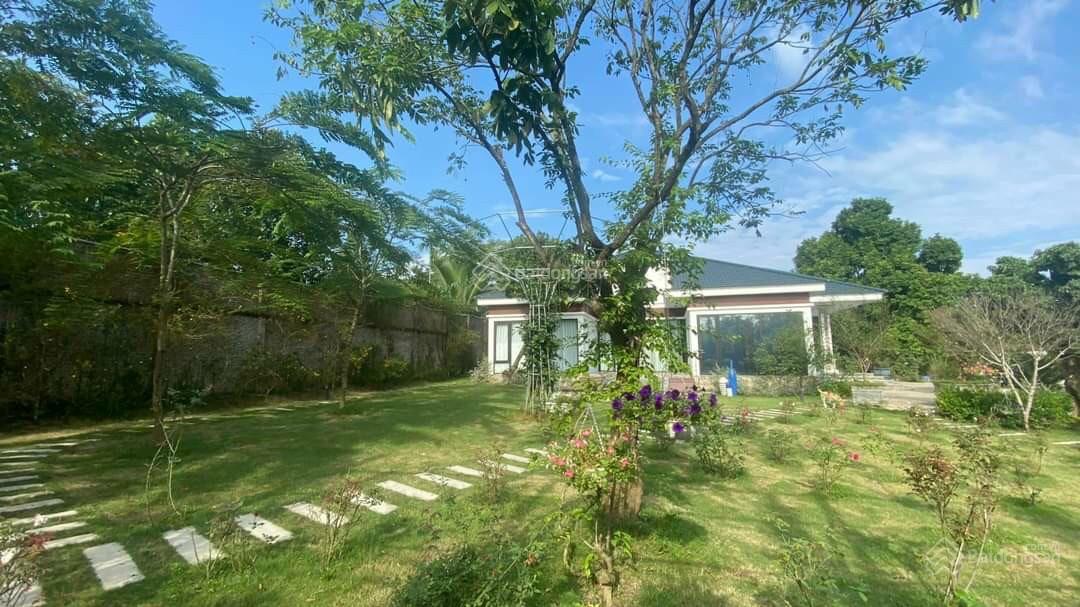 Biệt thự nghỉ dưỡng Suối 2 Ba Vì 3999m2 giá 15 tỷ cần tìm chủ mới