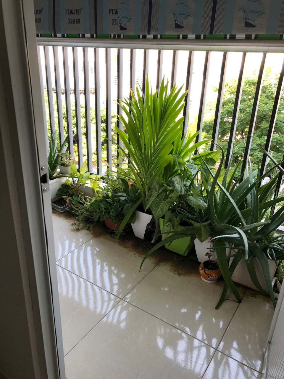 Chính chủ cần bán căn góc CT2 Vĩnh Điềm Trung 2 ngủ, 1 khách giá 1 tỷ 3