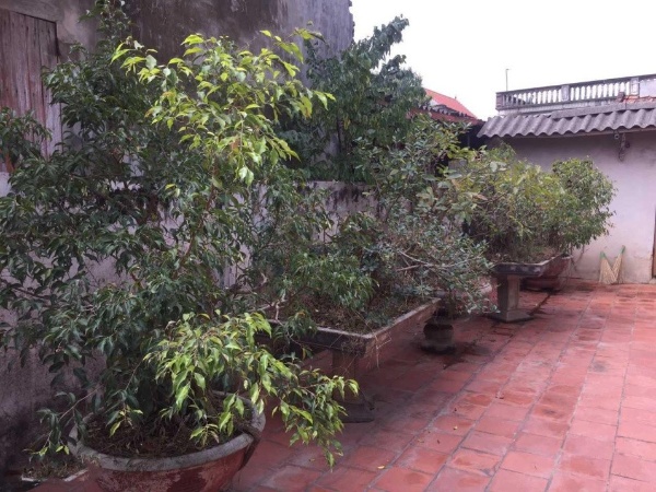 Bán cả nhà và đất tại Khai Thái Phú Xuyên chỉ hơn 2 tỷ đồng
