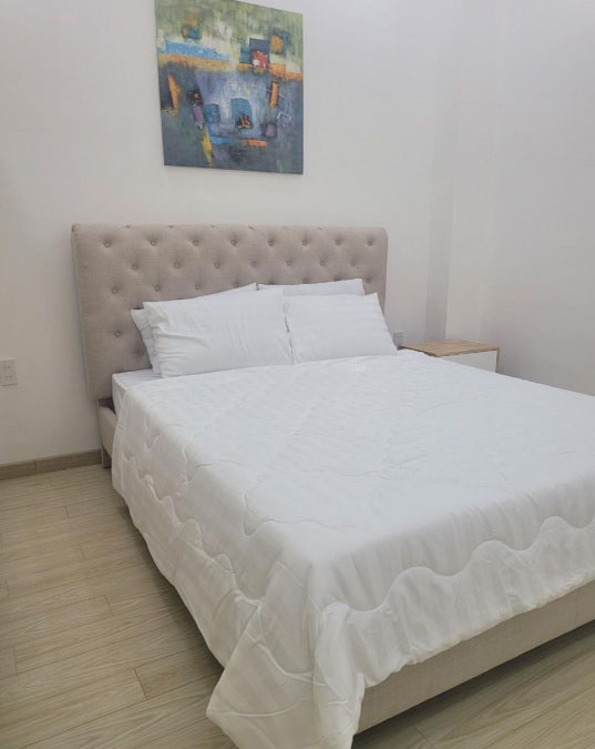 Cần tiền bán nhanh nhà mới xây tại đường Lam Sơn, Tân Bình 4 phòng ngủ nội thất cực sang