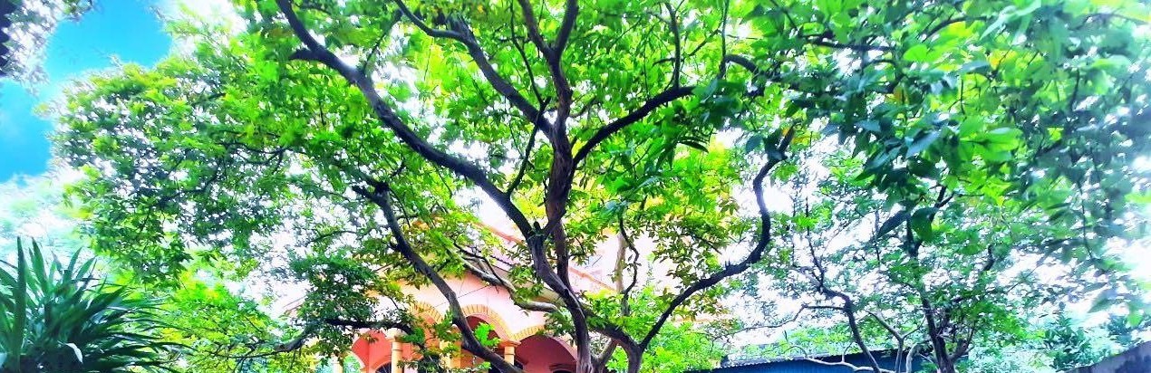 Chính chủ bán nhà Sơn Tây giá 25 triệu/1m2