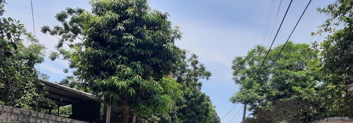 Chính chủ bán nhà Sơn Tây giá 25 triệu/1m2