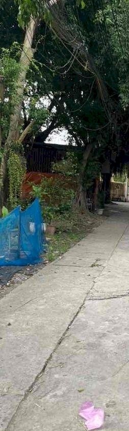 Chuyển công tác nên cần bán gấp căn nhà 1 tầng ởThường Tín - Hà Nội