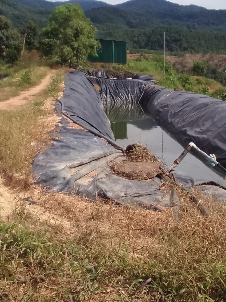 Cần bán gấp vườn sầu riêng diện tích 2,3ha tại xã Lâm Sơn, Khánh Hoà