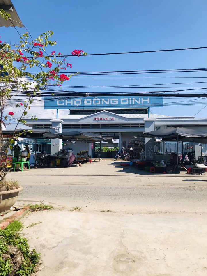 Chủ cần bán gấp lô đất 141m2 tại Diên Toàn, Diên Khánh, tỉnh Khánh Hòa