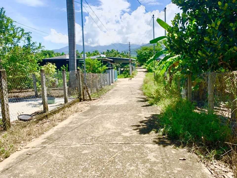 Cần Bán Nhanh Lô Đất Đẹp 193m² Ngay Khu Dân Cư Diên Xuân, Diên Khánh