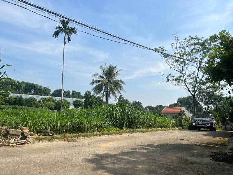Bán gấp 1169m tại Sơn Tây HN - làm Homestay nghỉ dưỡng giá 3,5tr/m2.