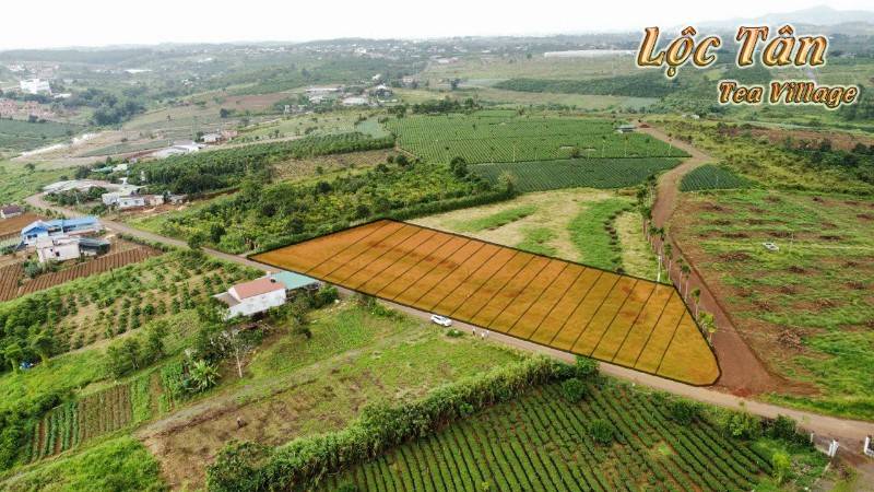 Bán 150m2 đất view Tu Viện Bát Nhã, Đam bri, đường nhựa 12m2