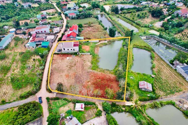 Bán nhà + vườn cây ăn trái 4800m2 ( 200m thổ cư ) Đường QL 20, Xã Ninh Gia, Huyện Đức Trọng, Lâm Đồng rất đẹp