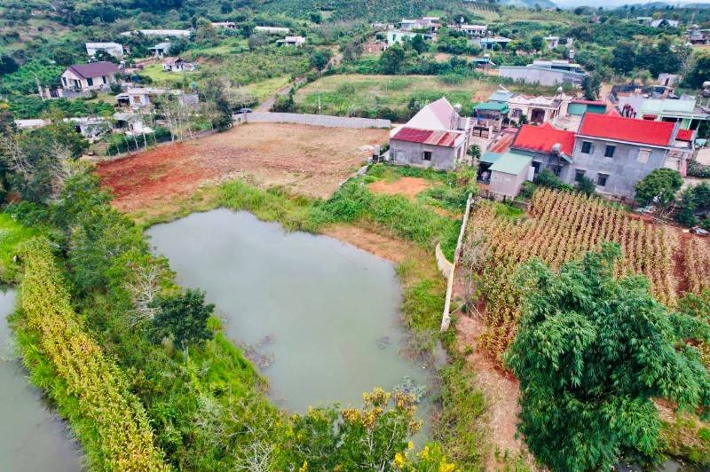 Bán nhà + vườn cây ăn trái 4800m2 ( 200m thổ cư ) Đường QL 20, Xã Ninh Gia, Huyện Đức Trọng, Lâm Đồng rất đẹp