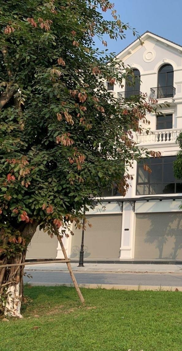 Cần bán gấp căn shophouse Sao Biển 23 ở Gia Lâm - Hà Nội