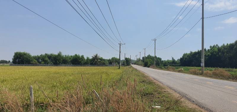 Bán Đất thổ cư mặt tiền Tỉnh lộ 7, xã Thái Mỹ giá ngộp thở