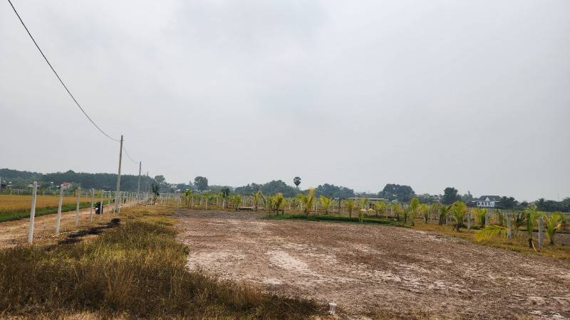 Bán Gấp Lô Đất Vườn Mặt Tiền Nguyễn Văn Khạ 1000m2 Giá 1,2 Tỷ
