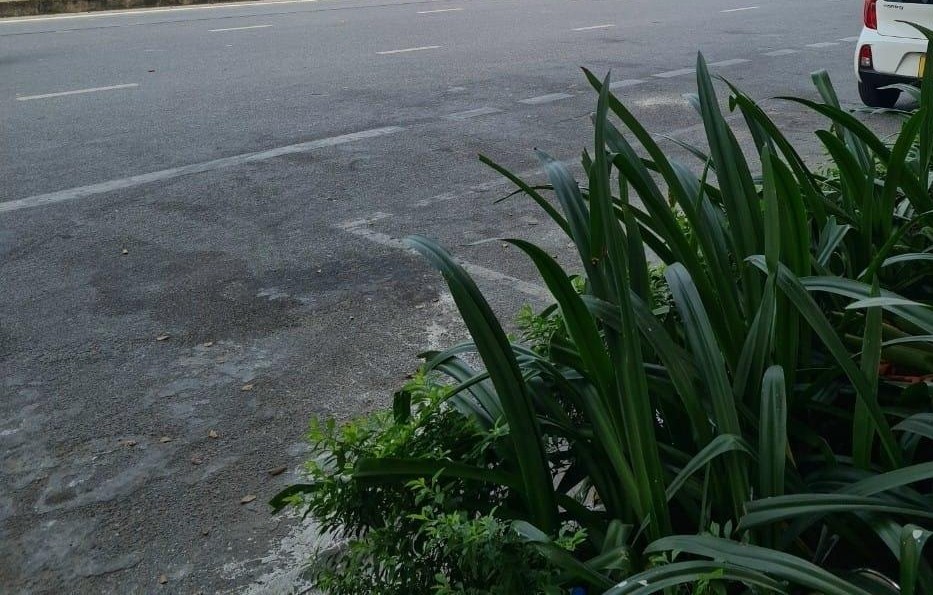 Bán nhanh căn shophouse nằm ở vị trí đắc địa ở Bắc Từ Liêm Hà Nội