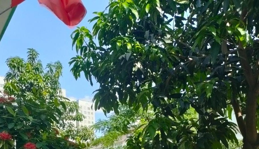 Bán gấp nhà mặt tiền hướng Tây Nam ở Kiến Hưng, Hà Đông, Hà Nội