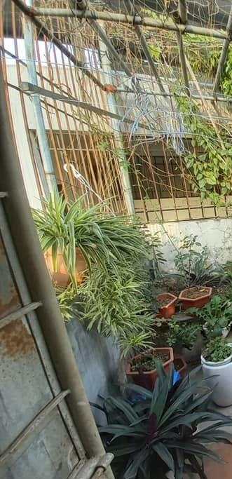 Bán nhà phố Hoàng Mai, Hà Nội diện tích 32 m2, 3 tỷ 180tr