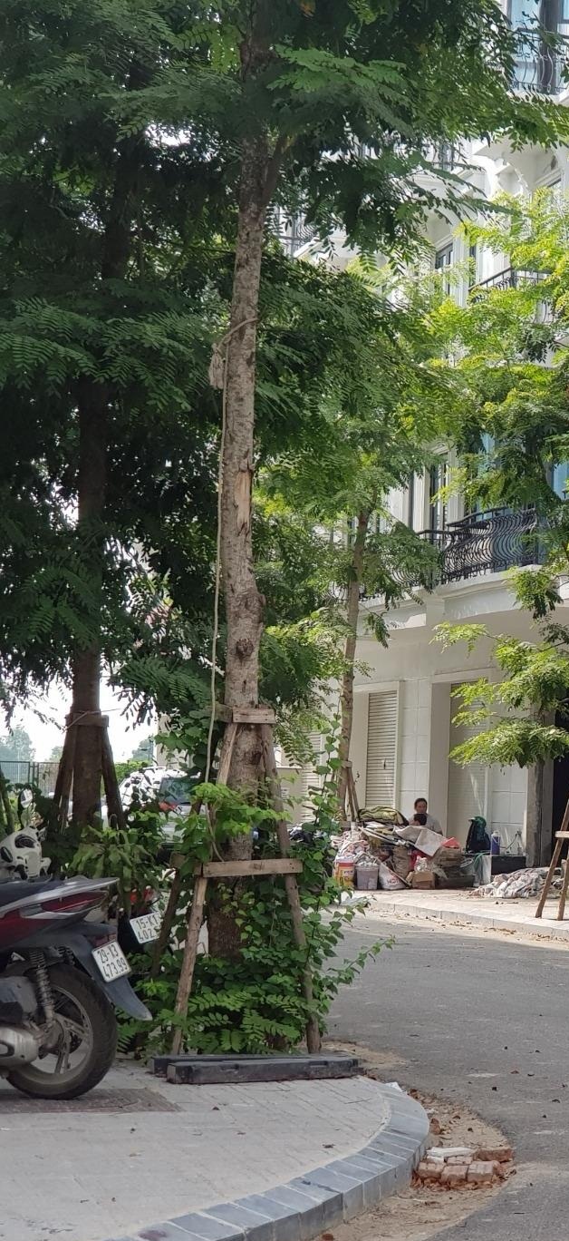 Bán nhanh nhà phố ở Kiến Hưng, Hà Đông, Hà Nội giá 34,5 tỷ
