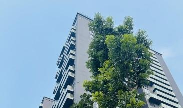 Cần tiền bán gấp shophouse ở Láng Hạ, Đống Đa, Hà Nội 