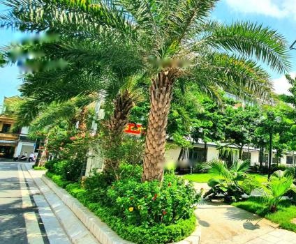 Chính chủ cần tiền bán gấp lô shophouse ở Long Biên, Hà Nội