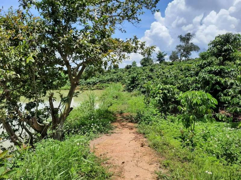 Bán Lô Đất Tại Tà Hine Sẵn Thổ Cư, Thích Hợp Mua Đầu Tư