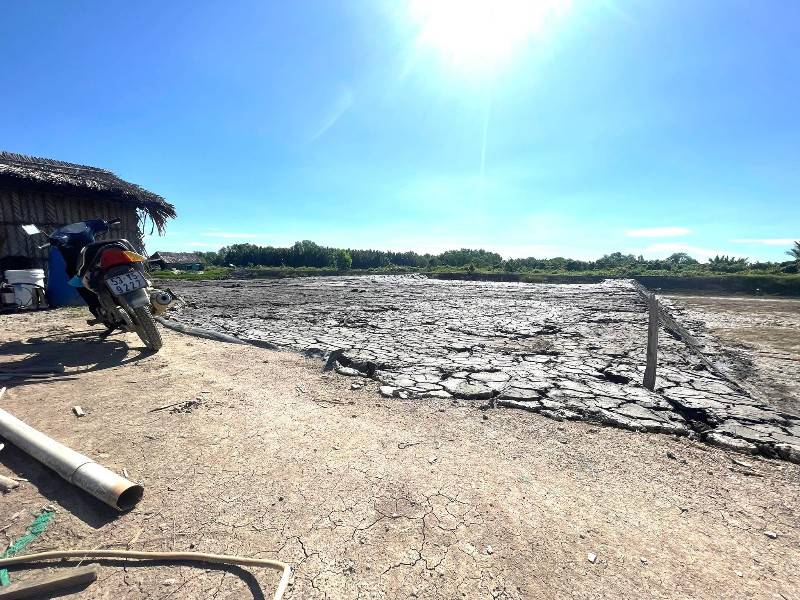 Cần bán 1000m2 đất CLN đường Thanh Niên Xung Phong, Nhà Bè giá 1,3 tỉ