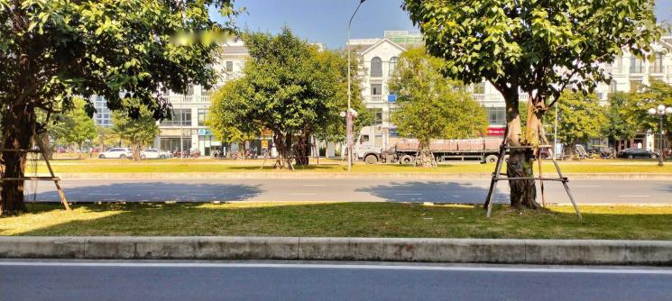 Cần tiền bán gấp căn Shophouse Ngọc Trai 6, Gia Lâm, Hà Nội